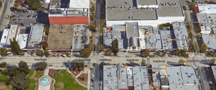 dog-years-coffee-shop