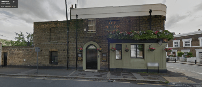 the-pelton-arms-sv-2.png