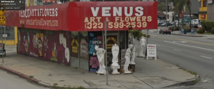 venus-flowers-sv.png