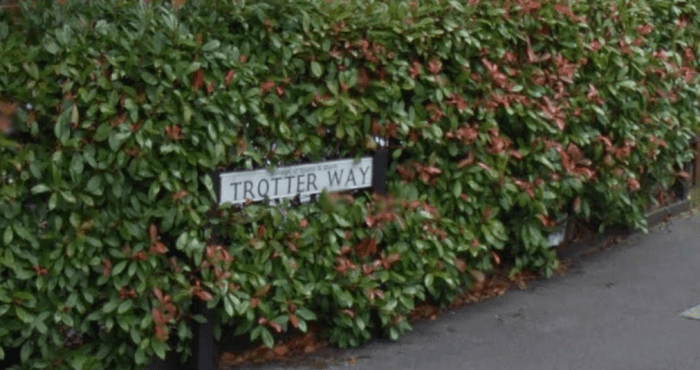 trotter-way.PNG