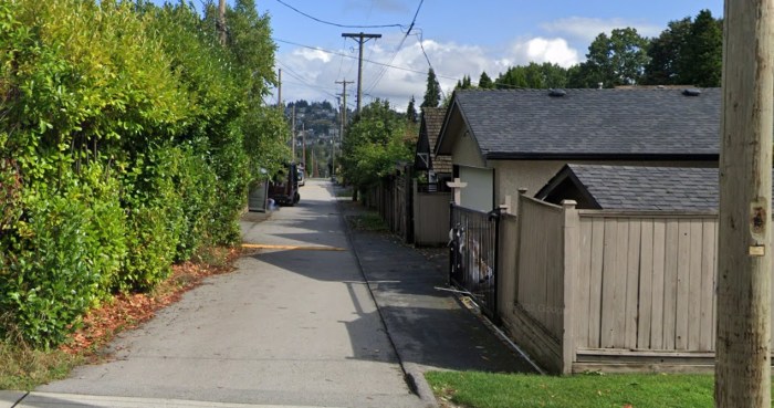 50-50 dog walking scene street view