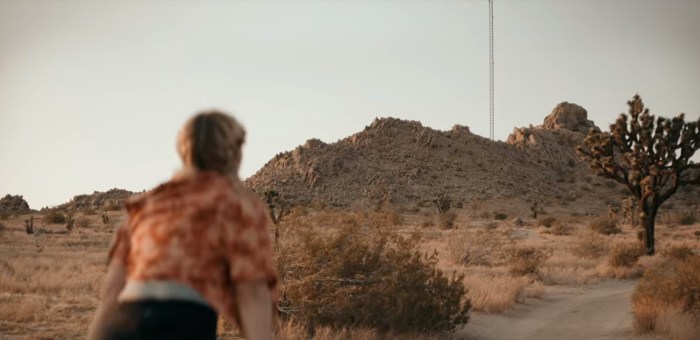 shiloh looking at the tower