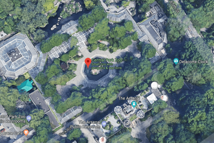 central-park-zoo2.PNG