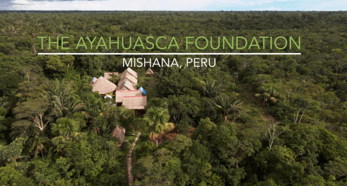 ayahuasca-foundation