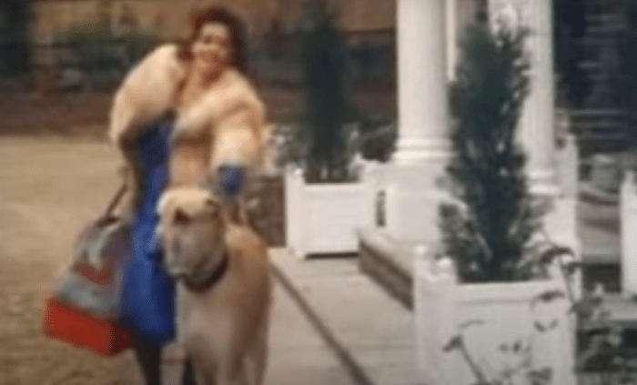 boycie-and-marlenes-house