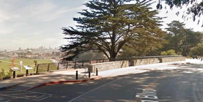 lila falls off her bicycle2