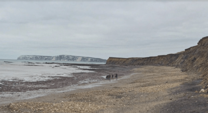 guest-house-paradiso-beginning6