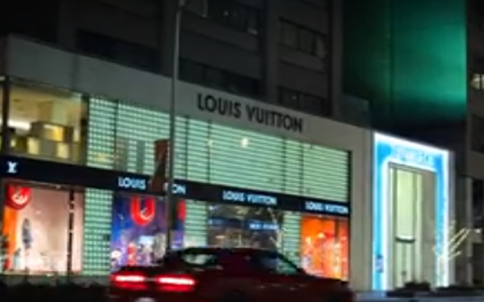 louis-vuitton2.PNG